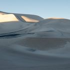 2 Ameisen auf der großen Düne von El Penon