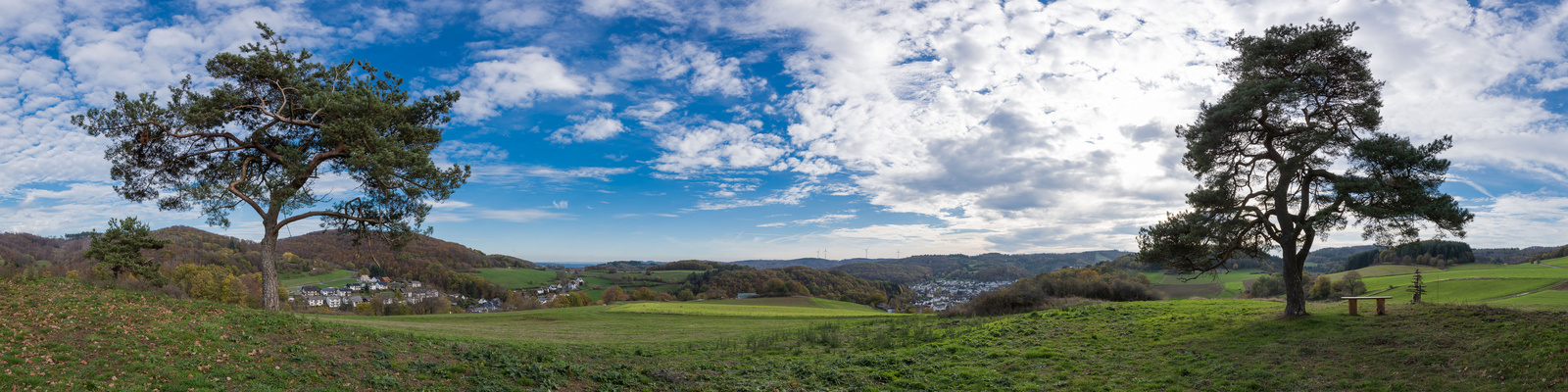 2 Bäume Pano 