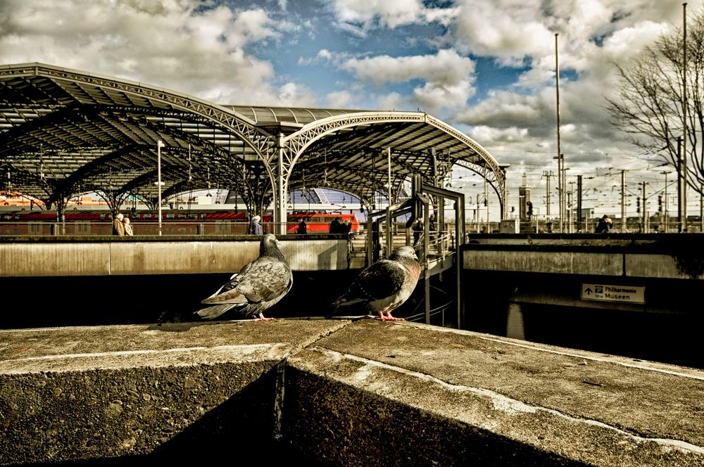 2 Bahnhofstauben