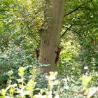 2 Besucher in einem Park in Hamburg