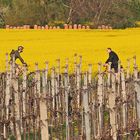 2 Biker...sehr entgegenkommend