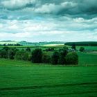 2 Blick aus dem Busfenster