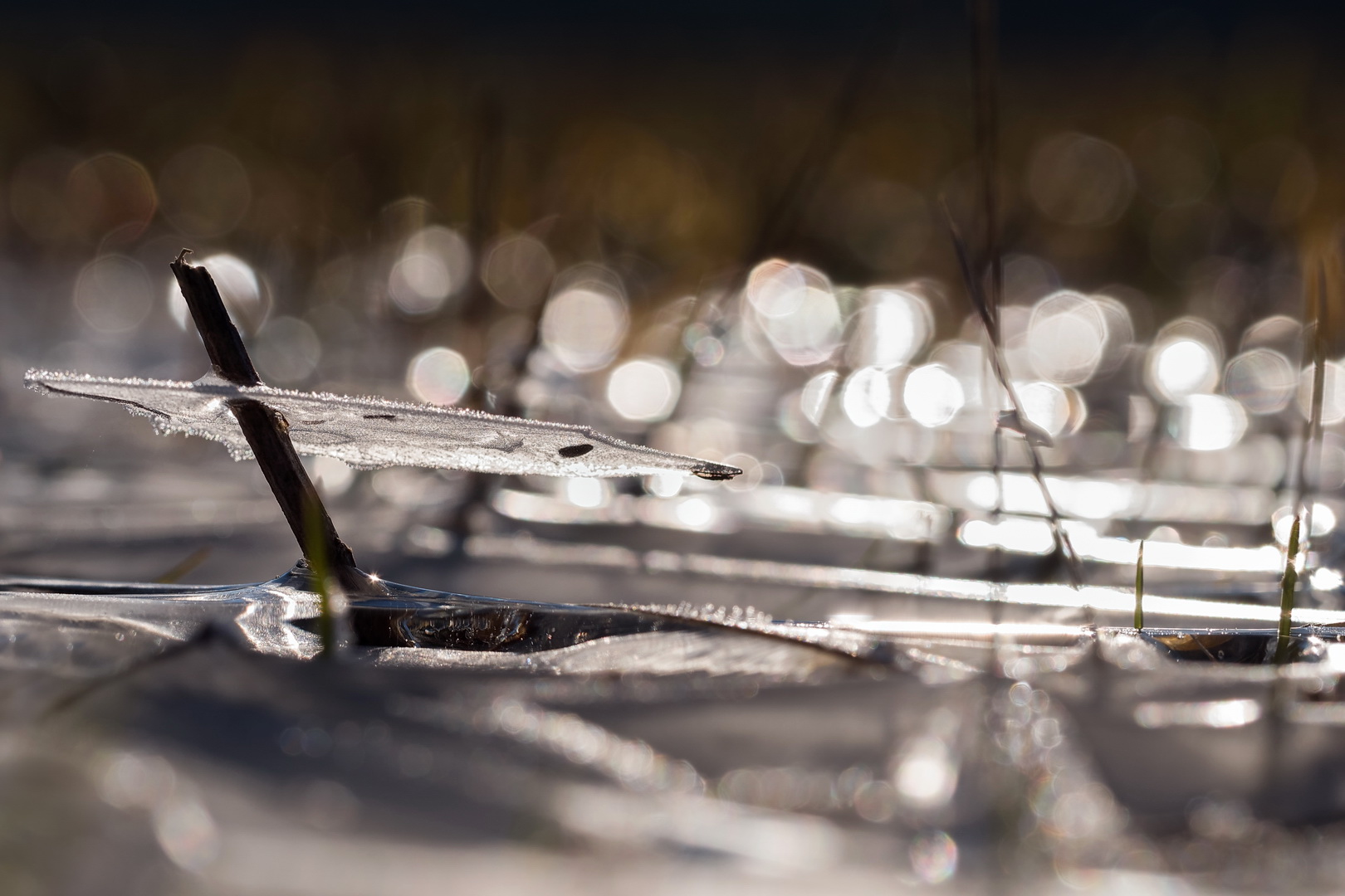 2 cm über Wasser