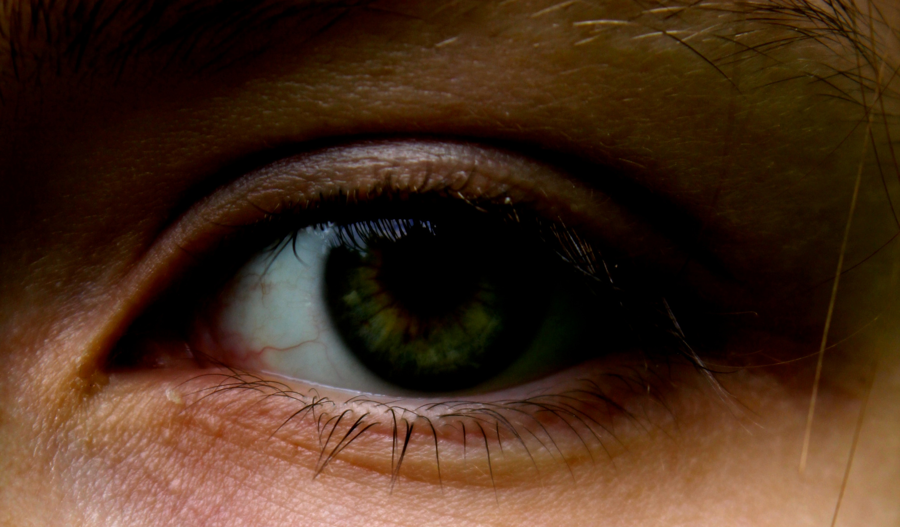 2% der Weltbevölkerung haben grüne Augen, also pass auf wem du deine schönsten Blicke schenkst