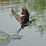 (2) Doch beim Abflug verwunderte mich...