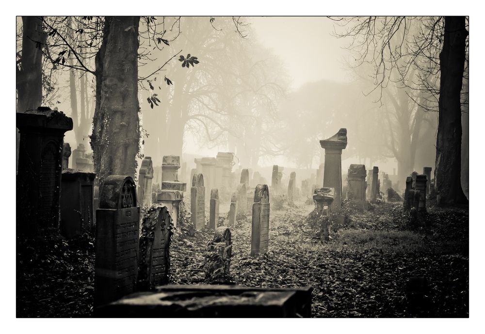 #2 - Dokument Jüdischer Friedhof von Surfenimatlantik 08 