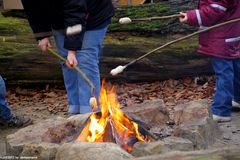 2. Dorstener Waldweihnacht / Beim Stockbrotbacken