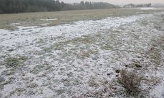 (2) Eisnadeln als Schnee und nadelförmiger Raureif ...