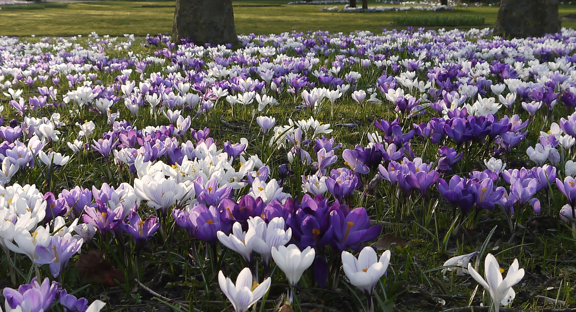 (2) Endlich Frühling...