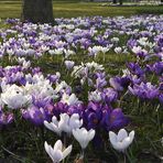 (2) Endlich Frühling...