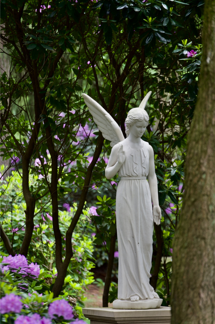 2 Engel auf dem Friedhof Ohlsdorf