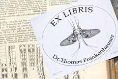 (2) Exlibris von meinem Foto der Eintagsfliege Ephemera danica (2011), gefertigt von Maria J.