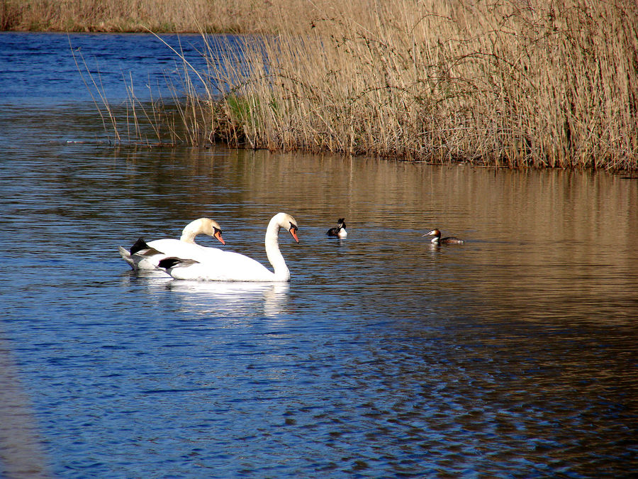 2 Familien