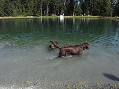 2 Flat´s im Speichersee