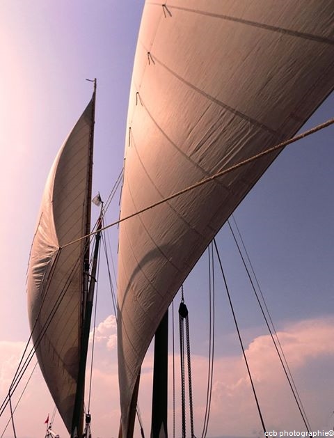 2 fois 320m2 de voile sur le Léman, montées à la force des bras.