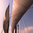 2 fois 320m2 de voile sur le Léman, montées à la force des bras.