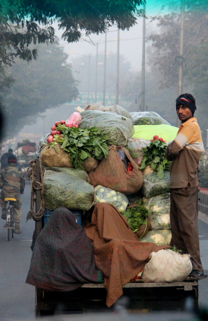 2 Frauen unterwegs  (Indien)