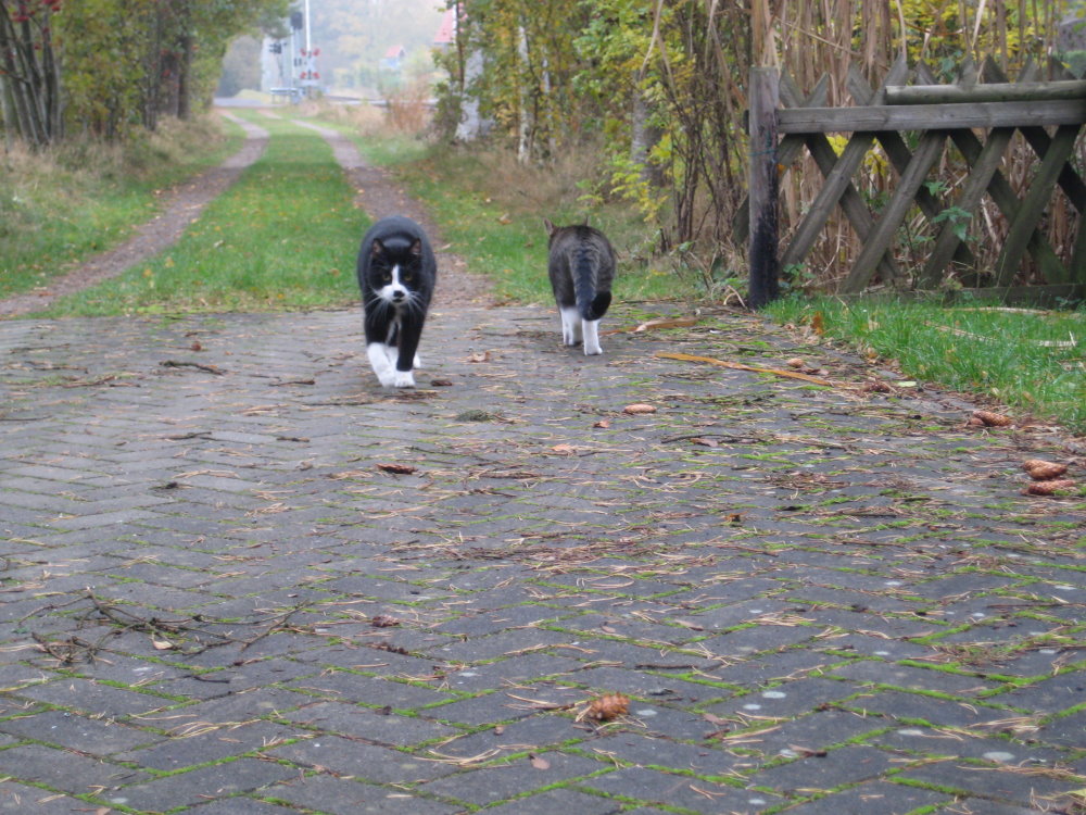 2 Freunde gehen ihre Wege...