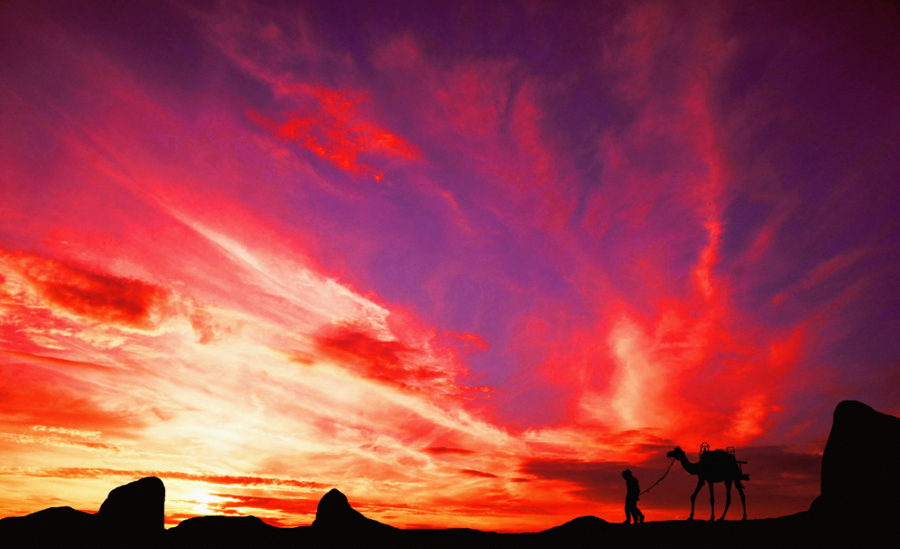 2 Friends and 1 Camel at sunset