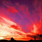 2 Friends and 1 Camel at sunset