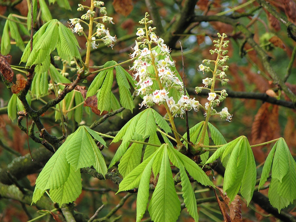 2. Frühling