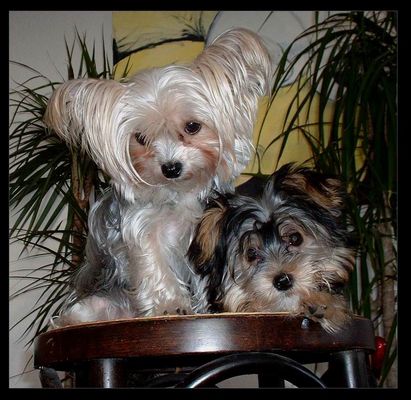 2 für die Ewigkeit!