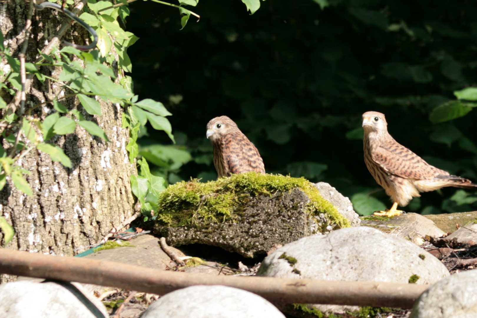 2 Geschwister machen sich bereit zum Abflug.