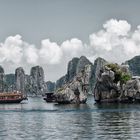 "2 Hähne" in der HaLong Bucht