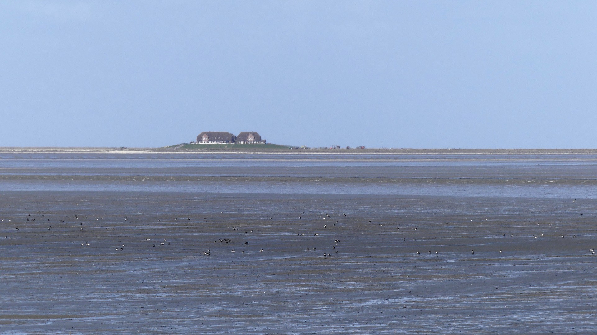 (2) Hallig-Leben pur