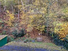 (2) Herbst in der Oberpfalz - schwarzweiß und bunt ...