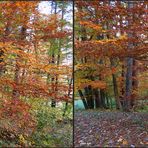 2. Herbstfarben - Kreuzblick