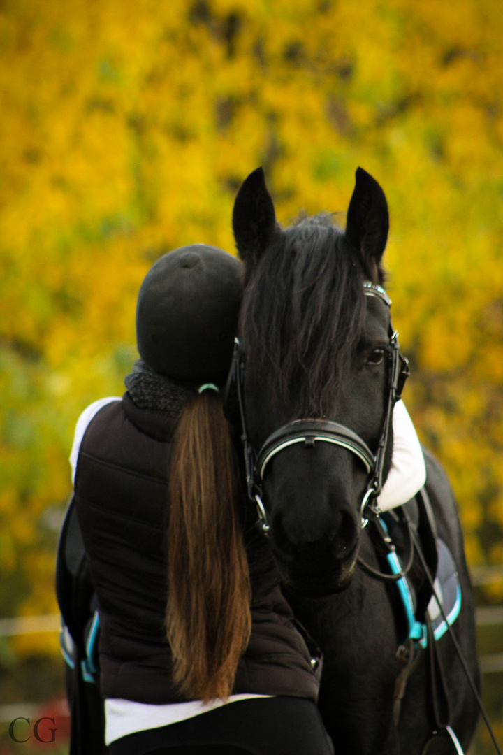 2. Herbstshooting mit Pferd #1