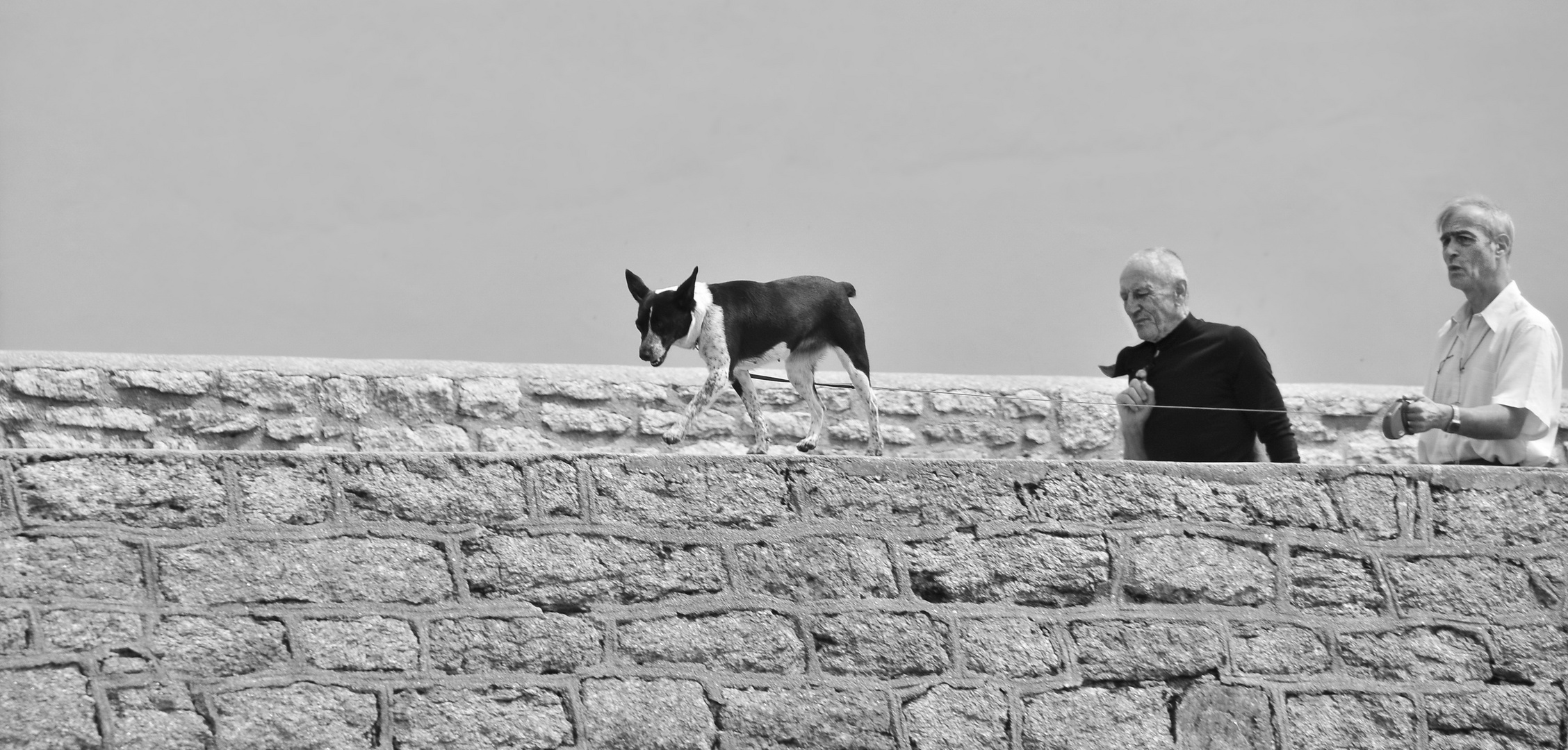 2 hommes avec un chien