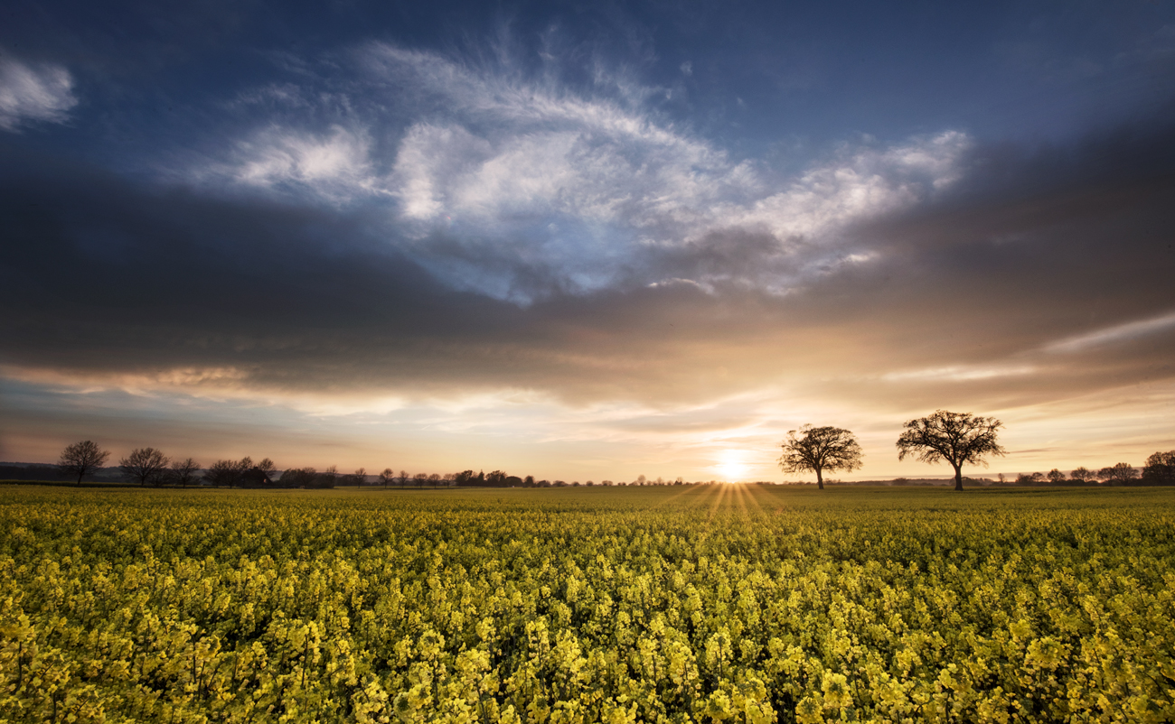 2 im Mai Foto & Bild jahreszeiten, frühling, sonnenuntergang Bilder