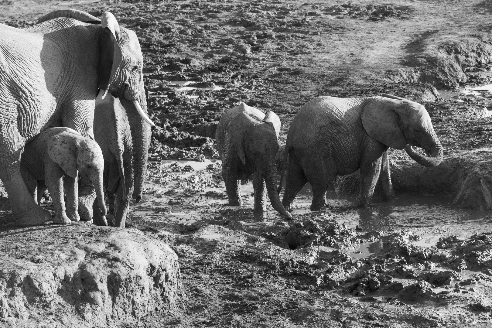 2 Impressionen Madikwe , Südafrika