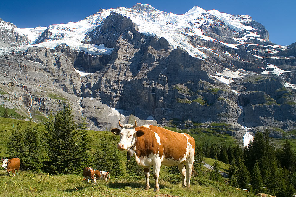 2 Jungfrauen