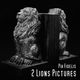 2 Lions Pictures