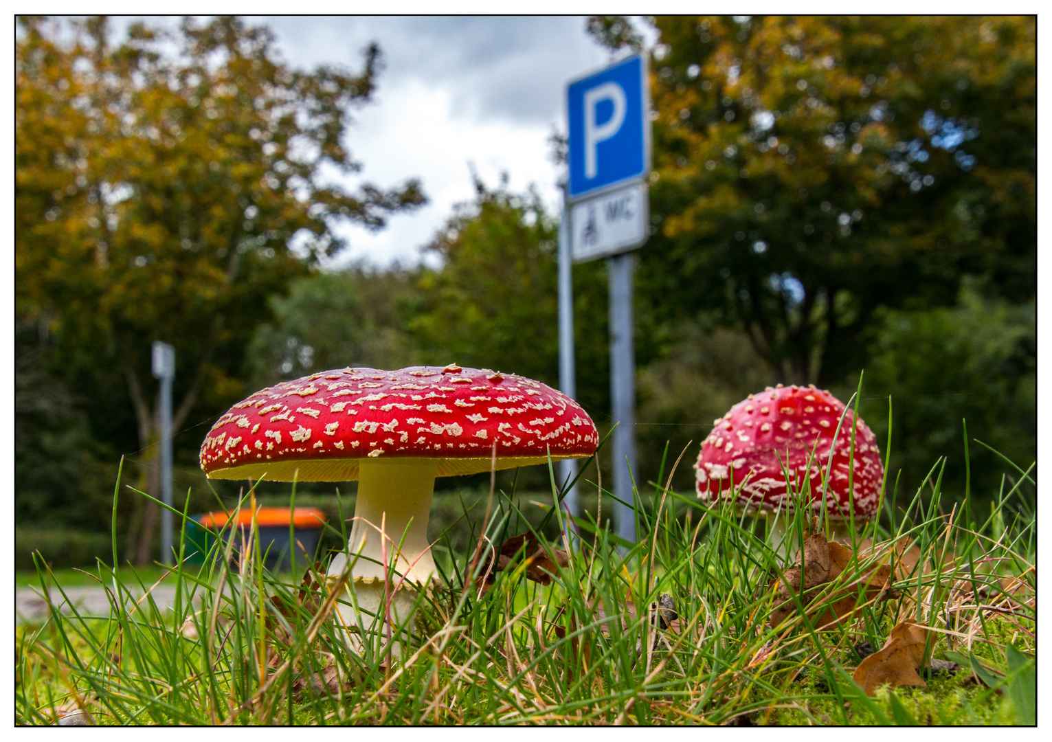 2 Männlein stehn am Parkplatz...