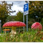 2 Männlein stehn am Parkplatz...