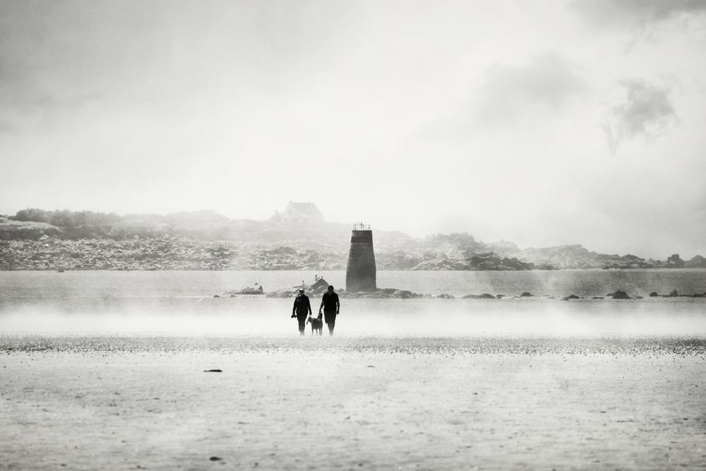 2 mit Hund und Leuchtturm