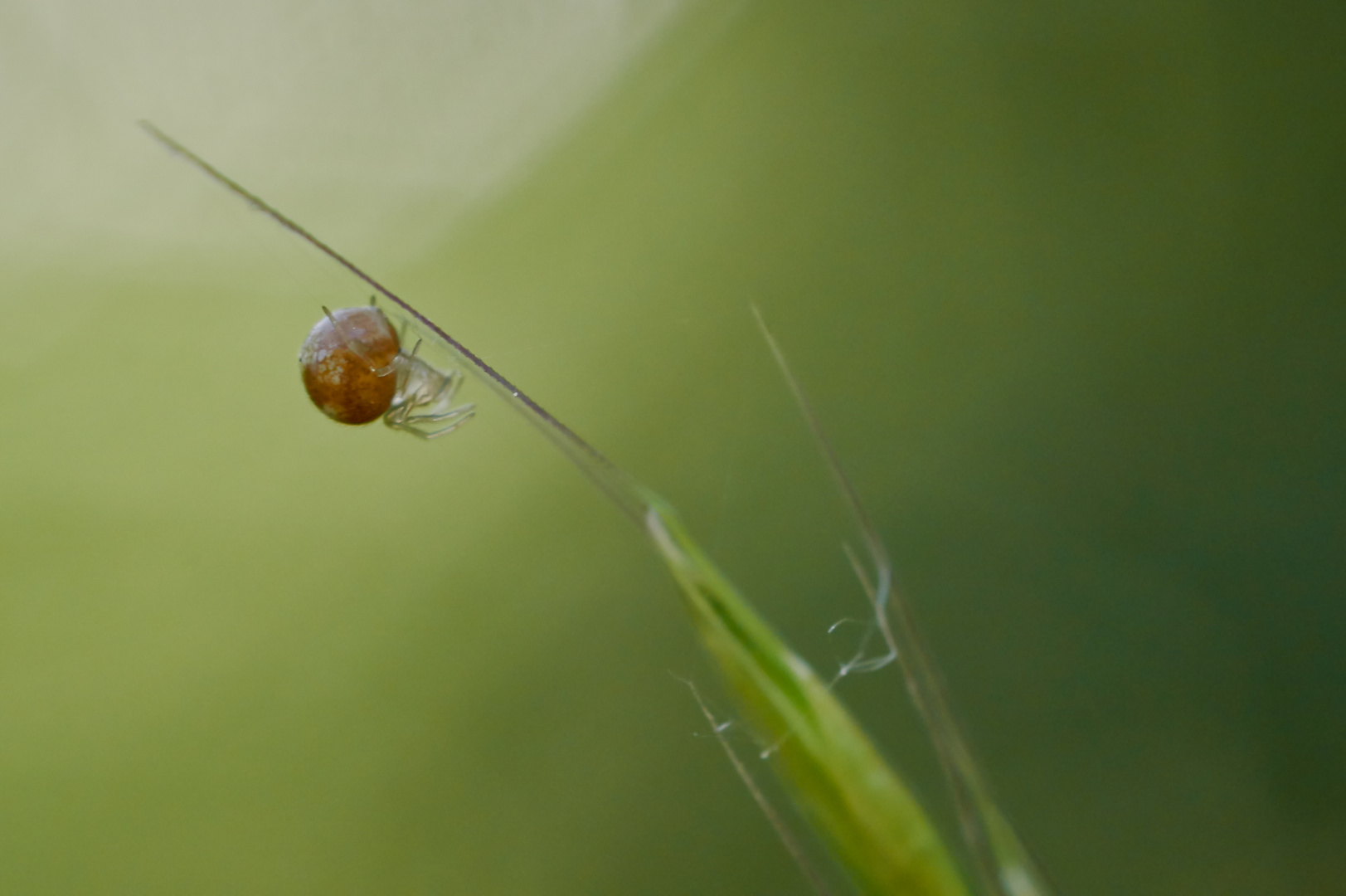 2 mm, wie aus Glas