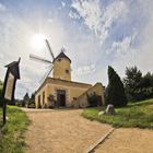 2 Mühlenmuseum Gifhorn