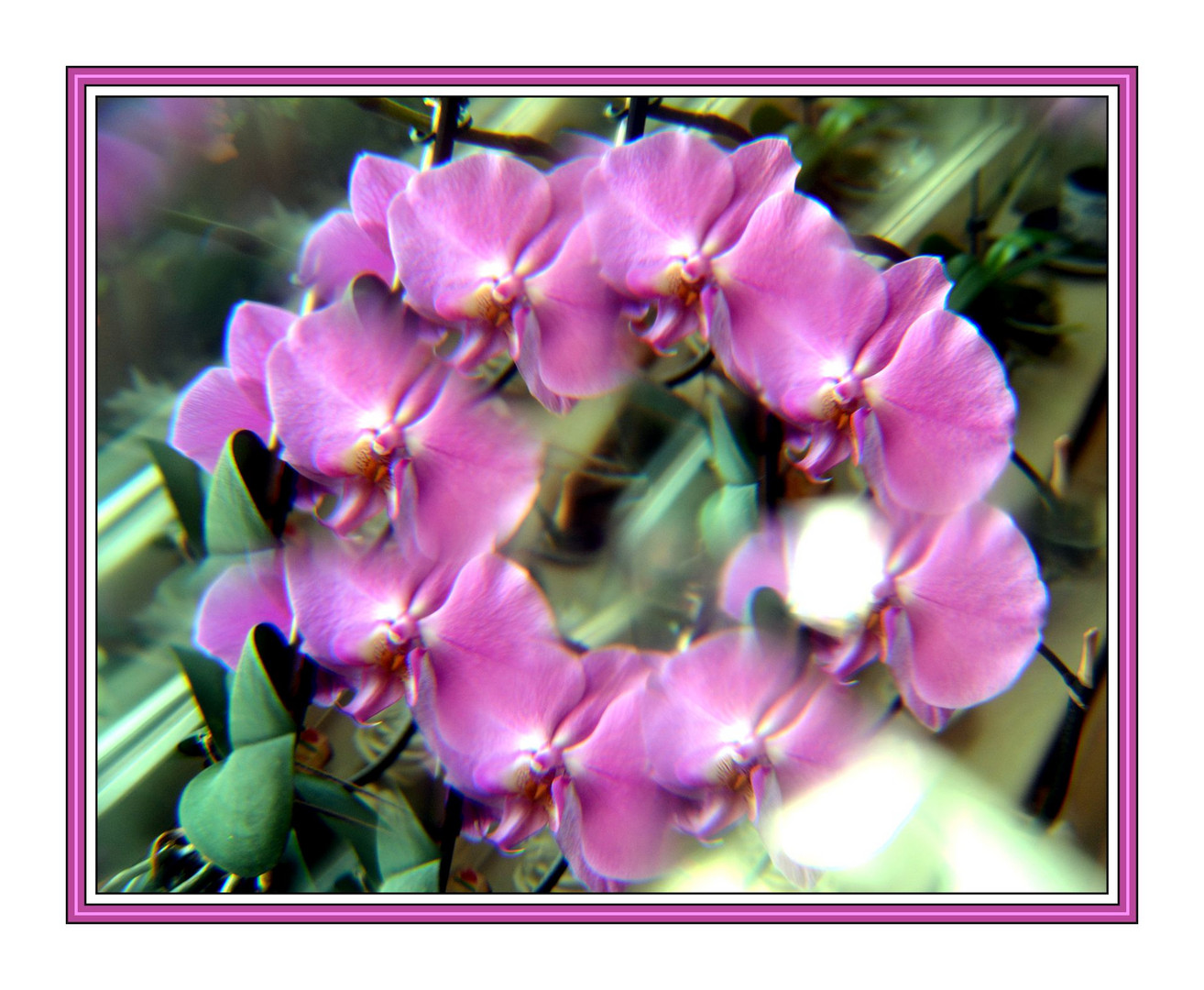 2 Orchideen fotografiert durch einen Deko Glas Diamant