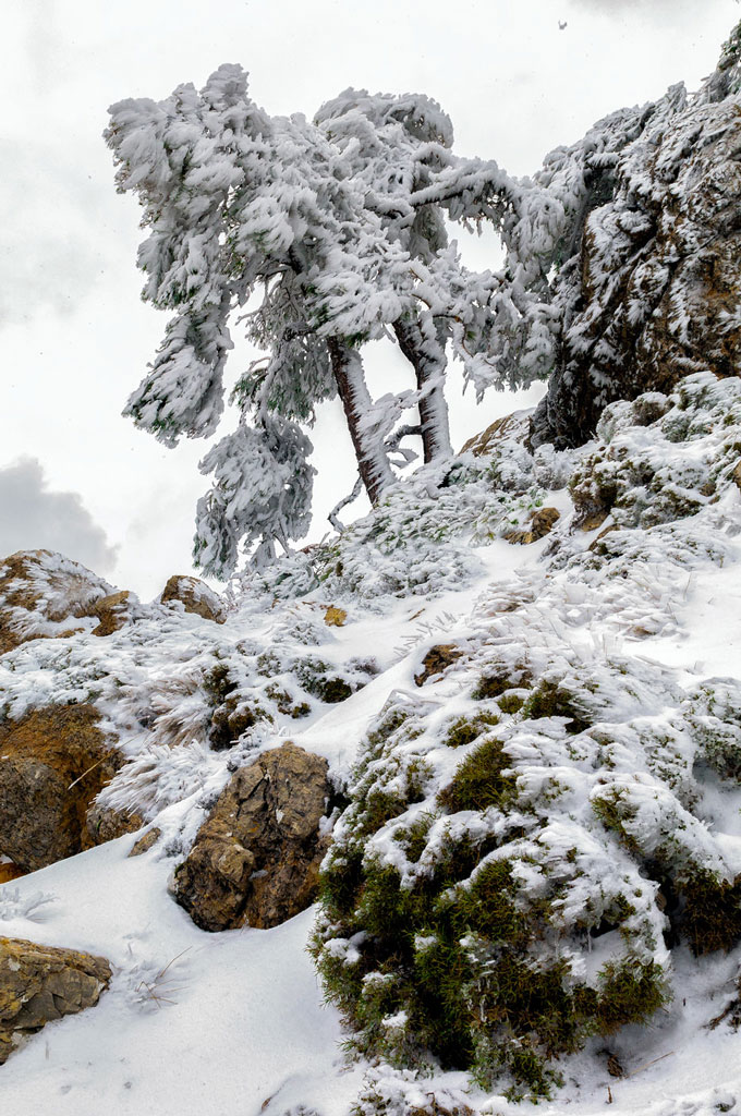 2-Parque natural de las Sierras de Cazorla