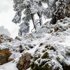 2-Parque natural de las Sierras de Cazorla