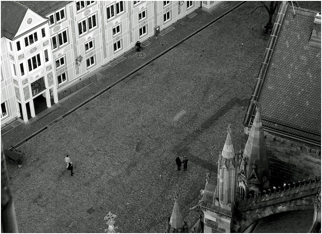 2 pigeons et 5 promeneurs.