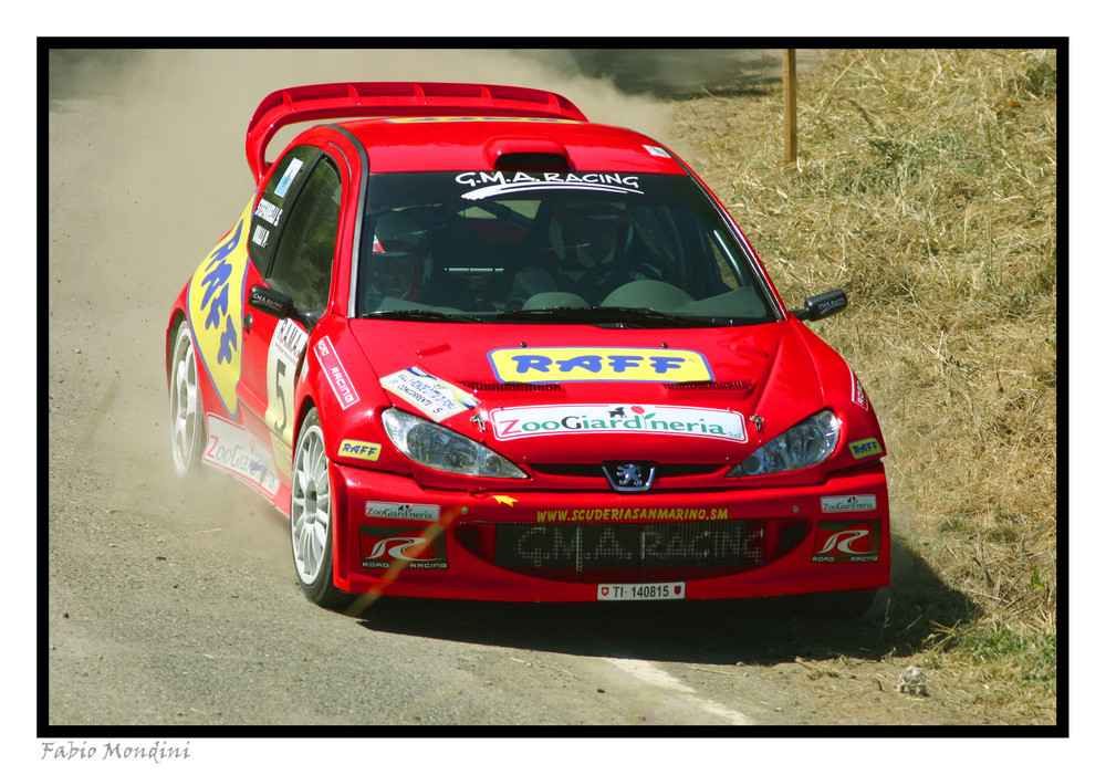 2° Rally Ronde città di Forlì IL leoncino....