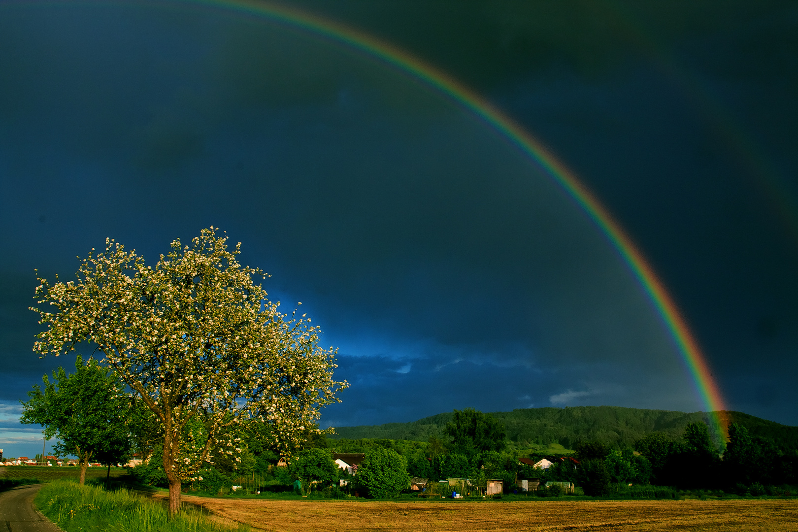 2 Regenbogen