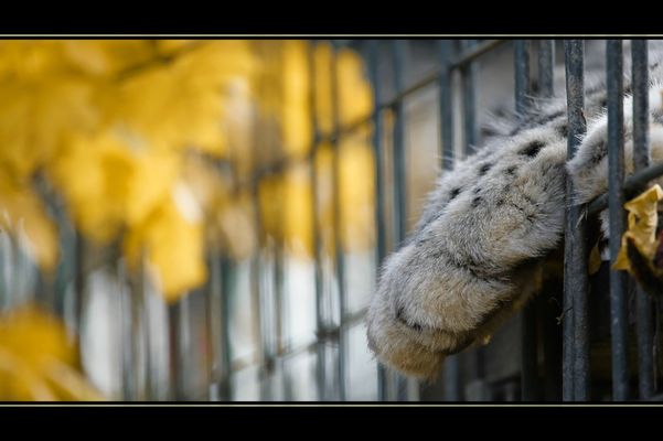 2-seitige Angelegenheit