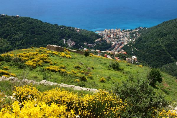 2 Sessarego - Ginestre